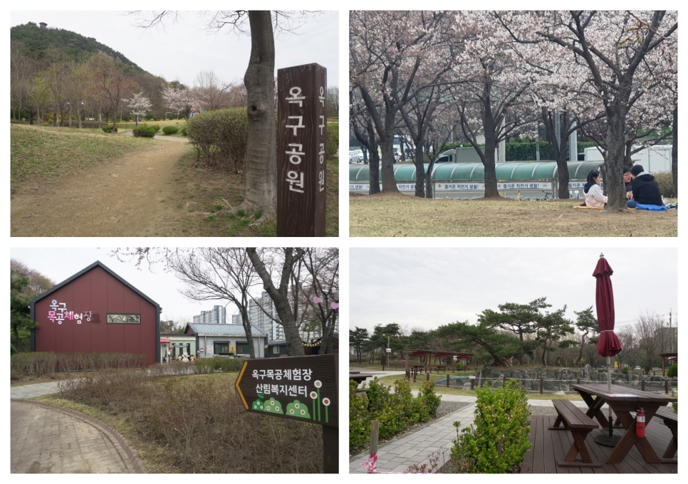 옥구공원은 고향 동산, 숲속교실, 해양생태공원, 곤충박물관 등 다양한 공간이 있는 곳으로 특히 봄이면 벚꽃과 철쭉, 튤립 등 꽃구경하며 피크닉하기 좋은 곳이다.