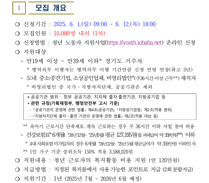 청년 복지포인트 사업 모집 개요